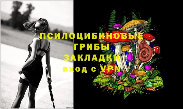 гашик Куйбышев